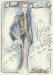 NEWS-Scan-croquis-Simon-Veil